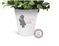 Preview: stiller Blumentopf - Vase kleiner Engel Mädchen Junge Name Sternenkind Trauer  Grab, Urnengrab, Abschied, Friedhof....von Lüttentüddel®
